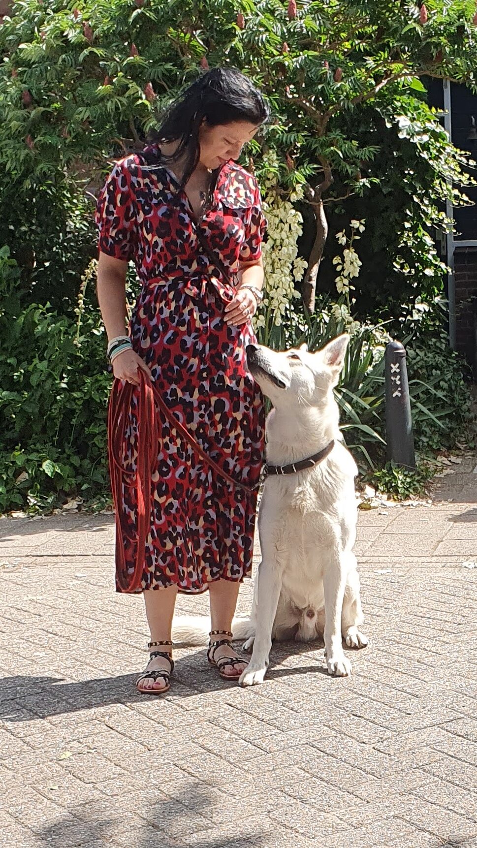 Maak kennis met Jamy van Honden Service Centrum