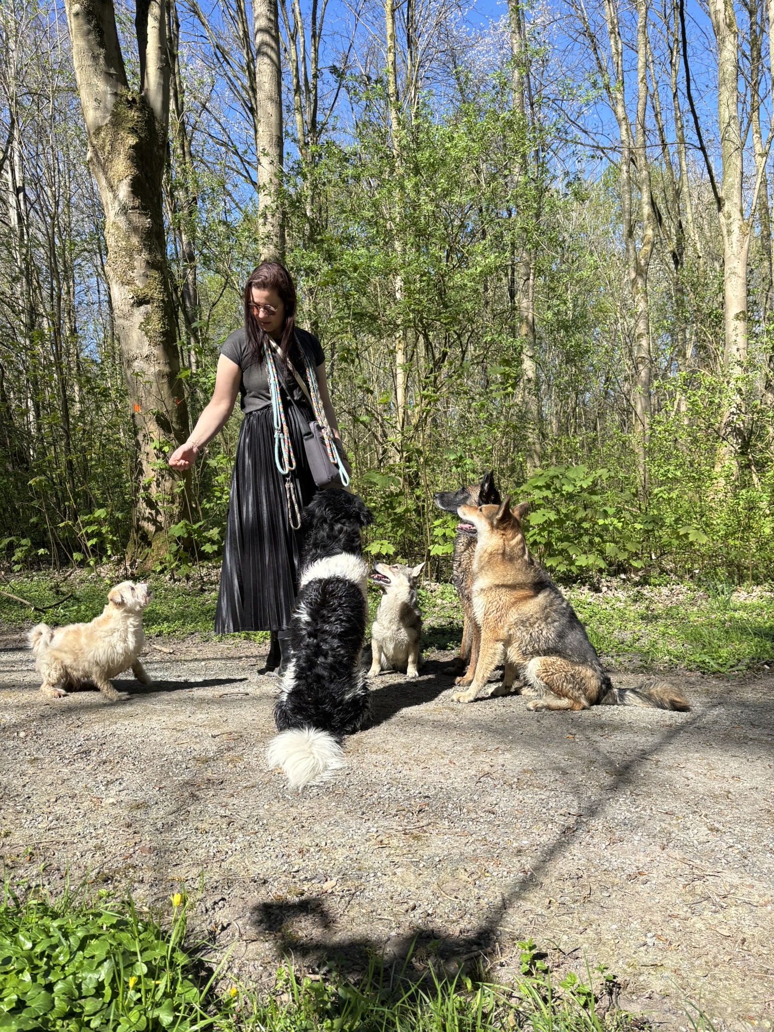 Over ons - Honden Service Centrum