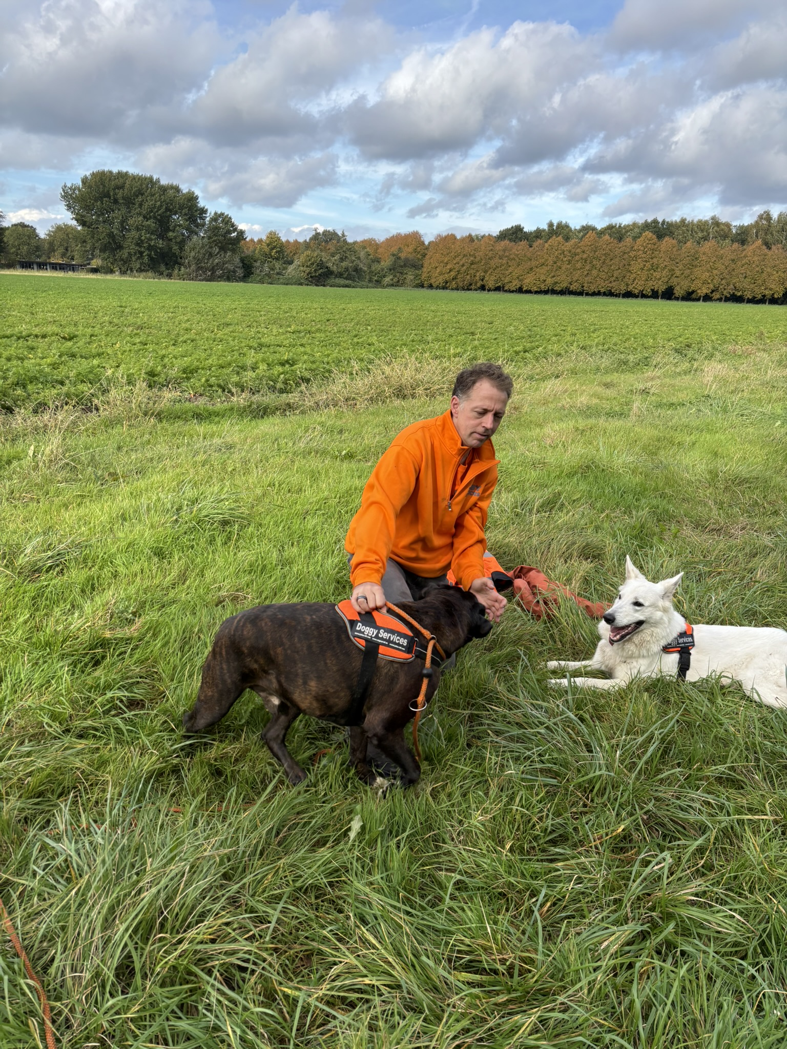 Maak kennis met Richard van Honden Service Centrum